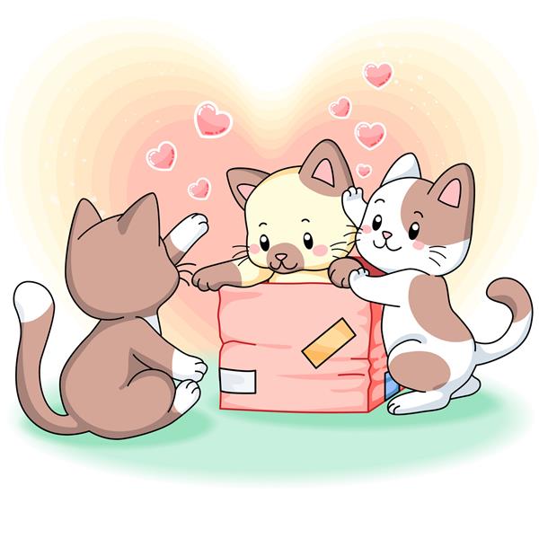 سه بچه گربه بامزه در حال بازی با یک جعبه