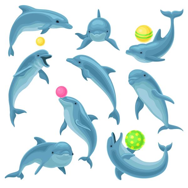 ست دلفین‌های آبی ناز پرش دلفین و ترفندهای نمایش با توپ برای سرگرمی تصویر نمایش روی پس‌زمینه سفید
