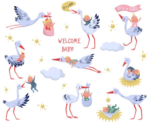 ست لک لک سفید با نوزاد پرندگان دوست داشتنی و بچه های تازه متولد شده عناصر برای کودکان کتاب یا کارت تبریک