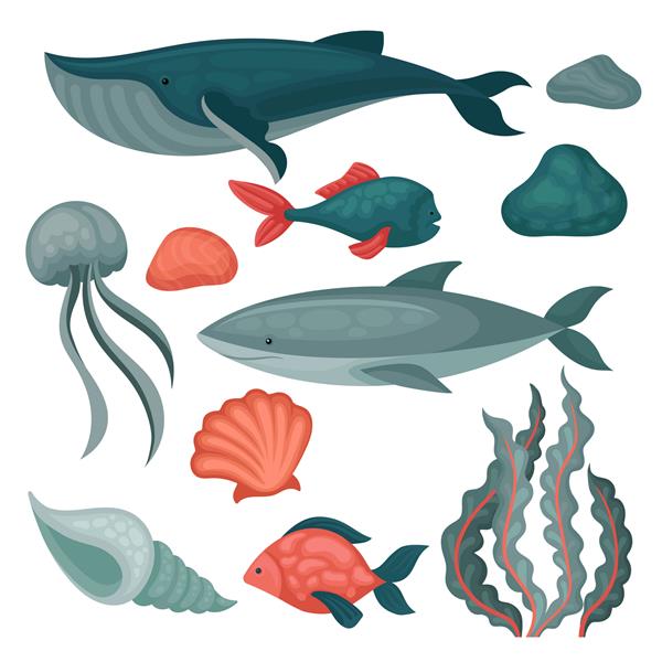 مجموعه ای از حیوانات و اشیاء دریایی ماهی های بزرگ و کوچک چتر دریایی سنگ ها جلبک های دریایی و صدف های دریایی