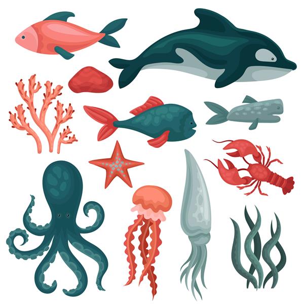 مجموعه ای از حیوانات و اشیاء دریایی ماهی چتر دریایی خرچنگ قرمز ماهی مرکب اختاپوس ستاره دریایی جلبک دریایی و سنگ
