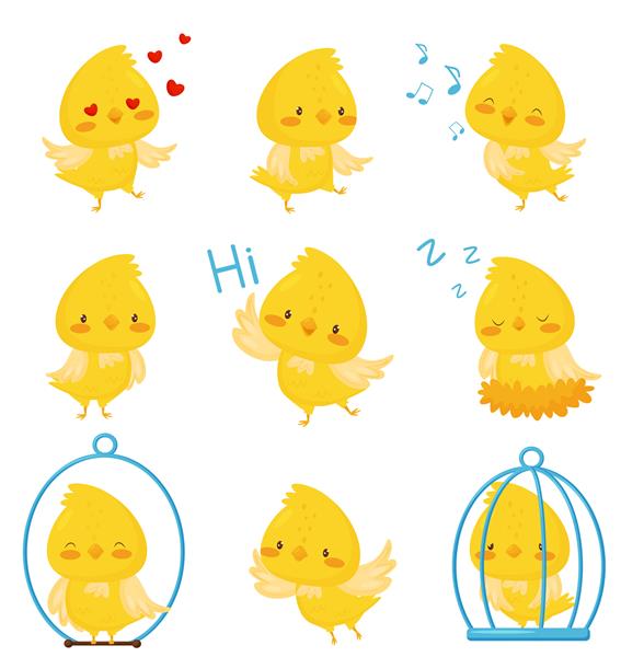 شخصیت های مرغ ناز در موقعیت های مختلف تصویر شخصیت کارتونی پرنده خنده دار احساسی در پس زمینه سفید