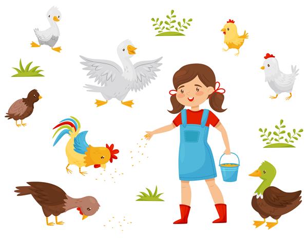 مجموعه تخت از پرندگان مزرعه دختر کوچک با سطل غلات تغذیه کودک به مرغ اهلی پرورش طیور