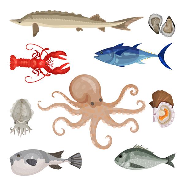 مجموعه ای مفصل از غذاهای دریایی مختلف محصولات خوراکی دریایی موجودات دریایی ماهی خرچنگ و نرم تنان