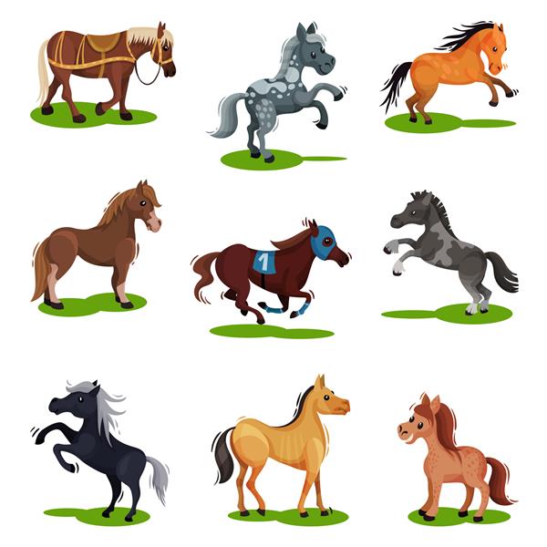 مجموعه تخت از اسب ها در حالت های مختلف حیوانات سم جدا شده موجودات پستاندار روی چمن سبز