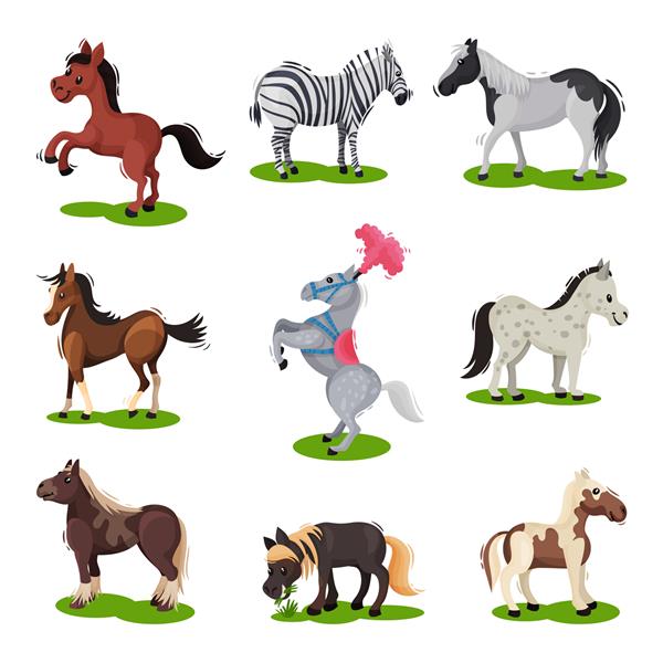 مجموعه تخت از اسب های مختلف حیوان پستاندار سم دار موضوع حیات وحش و جانوران کتاب عناصر برای کودکان