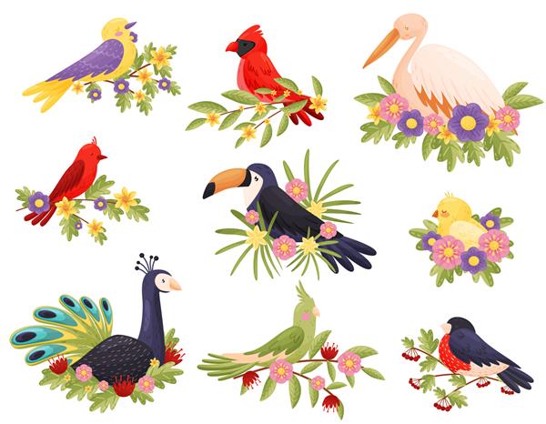 پرندگان رنگارنگ روی شاخه ها نشسته اند حیوانات و بهار