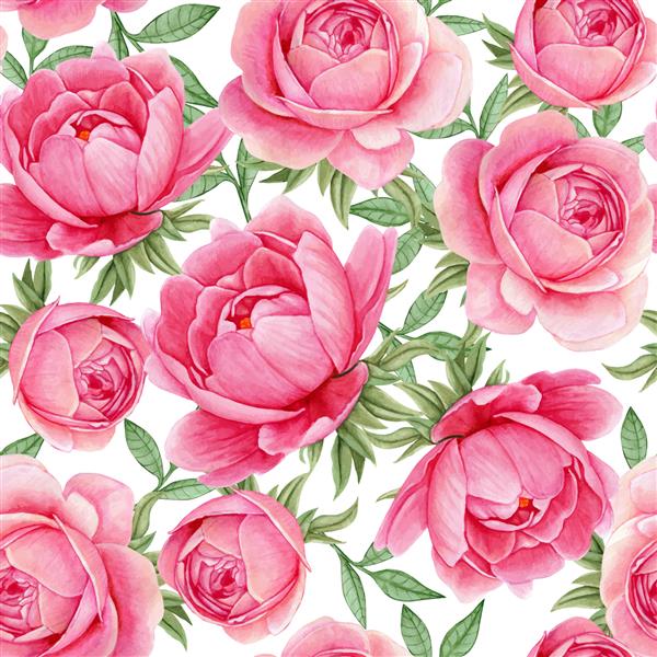 طرح بدون درز آبرنگ گل گل صد تومانی زیبا صورتی پر جنب و جوش