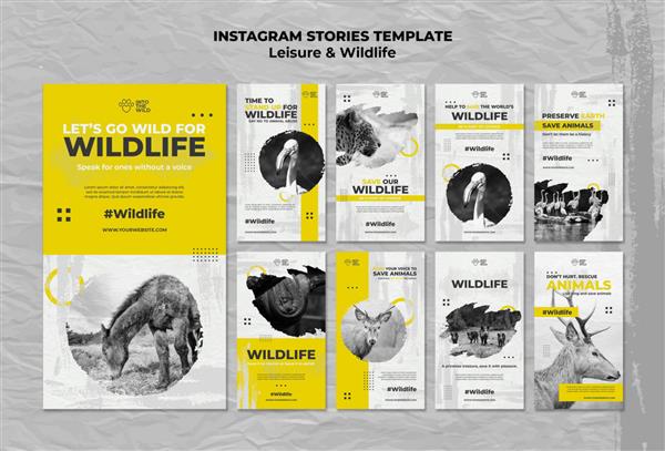 مجموعه استوری اینستاگرام برای حفاظت از حیات وحش و محیط زیست