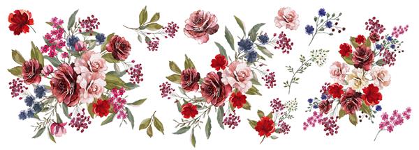 گل رز بوردو و صورتی گل های آبی قرمز آبرنگ تصویر گیاه شناسی گل آرایی از رزهای صورتی برگ های رنگارنگ گیاهان وحشی مجموعه ای از دسته گل شاخه ها عناصر گل