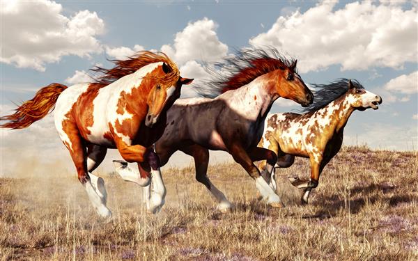 سه موستانگ در دشت‌های پوشیده از چمن غرب آمریکا با هم مسابقه می‌دهند این سه اسب رنگ آمیزی وحشی در حالی که با باد در یال هایشان آزادانه در دشت تاخت می زنند رندر سه بعدی