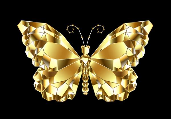 شاه پروانه طلایی براق چند ضلعی در پس زمینه مشکی