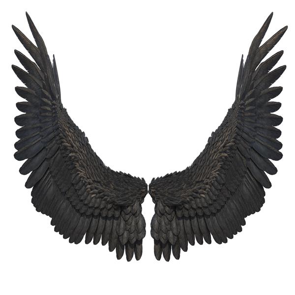 بال های فرشته فانتزی سیاه رندر سه بعدی در پس زمینه سفید تصویر سه بعدی
