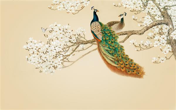 والپیپر سه بعدی درختی با پس زمینه طاووس