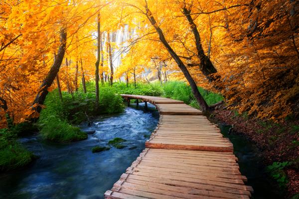 مسیر چوبی زیبا برای طبیعت گردی با دریاچه ها و چشم انداز آبشار در پارک ملی دریاچه های Plitvice میراث جهانی طبیعی یونسکو و مقصد مسافرتی معروف کرواسی