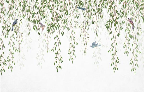 شاخه های بید از بالا با پرندگان در پس زمینه سفید آویزان است کاغذ دیواری نقاشی دیواری و نقاشی دیواری برای چاپ داخلی