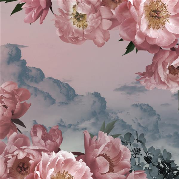 گل صد تومانی صورتی و ابرهای آبرنگ کارت قدیمی برای تبریک دعوت نامه جلد پوستر سبک مد قدیمی
