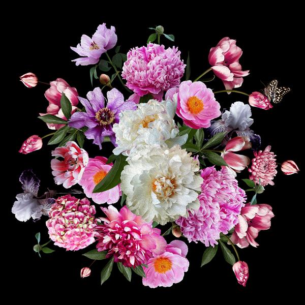 تزیین گل گل های زیبای باغچه و پروانه گل صد تومانی شکوفه زنبق ادریسی و لاله تصویر قدیمی سبک باروک الگوی ایجاد دکور عروسی کارت تبریک جلد