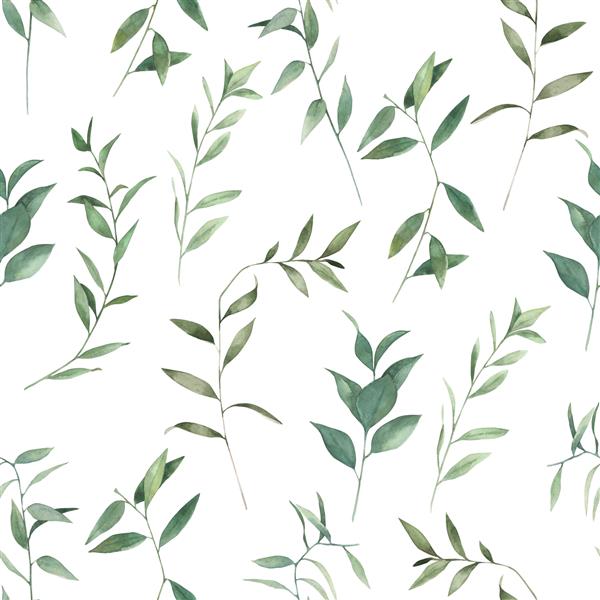 الگوی بدون درز آبرنگ با شاخه های اکالیپتوس چاپ سبز در زمینه سفید تصویر کشیده شده با دست