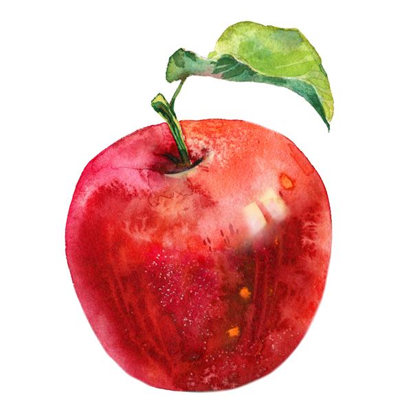 تصویر آبرنگ سیب آبدار تازه با برگ تصویر میوه های روشن و رنگارنگ