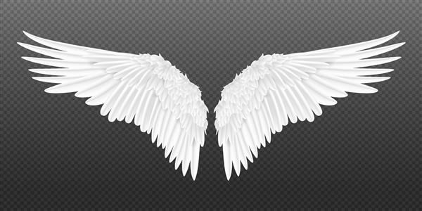 بال های واقع گرایانه یک جفت بال سفید جدا شده به سبک فرشته با پرهای سه بعدی روی پس‌زمینه شفاف تصویر طراحی بال پرنده
