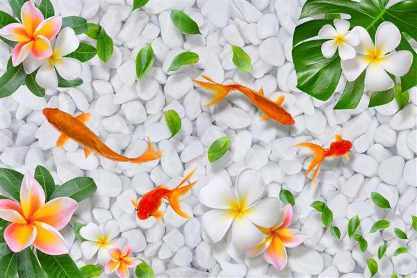 تصویر با کیفیت بالا برای طراحی کف سه بعدی و کاغذ دیواری ماهی و گل در پس زمینه سنگ رودخانه