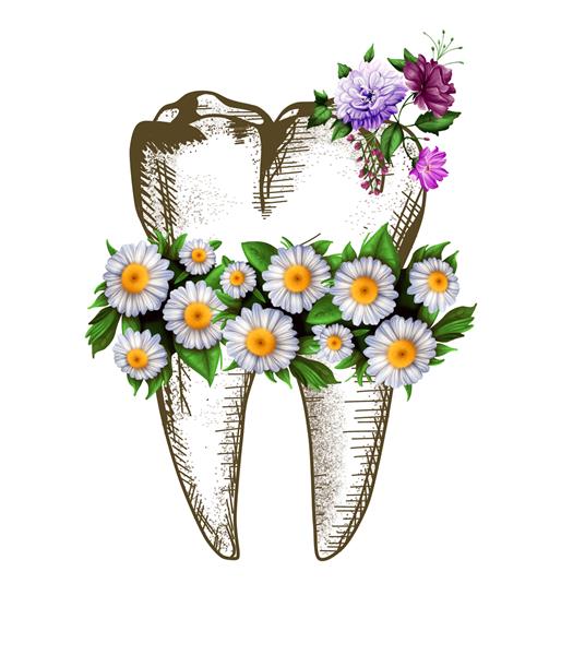 تصویر دندان با گل های دیزی دور آن را با پس زمینه سفید احاطه کرده است