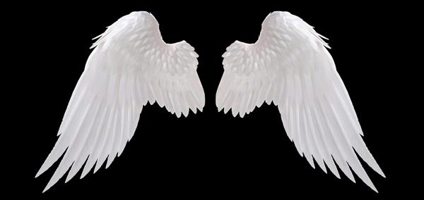 بال فرشته سفید جدا شده