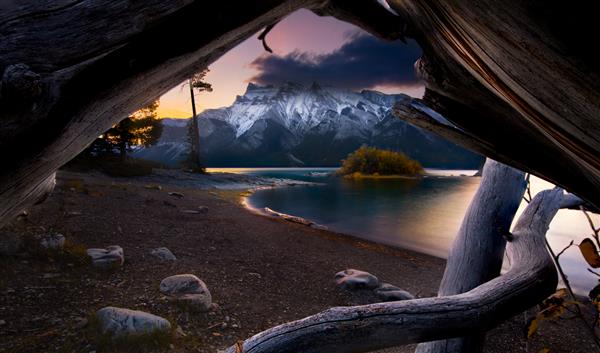 عکس مرد تنها در پاییز