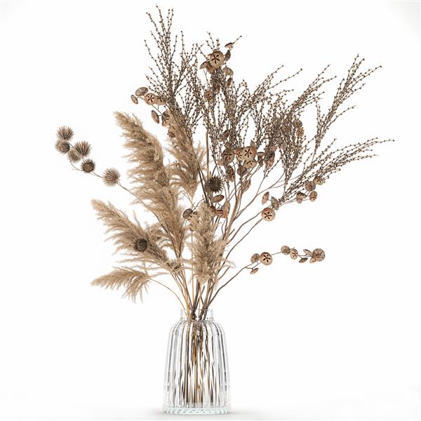 دسته گل تزئینی با تصویر سه بعدی از شاخه های خار خشک شده در گلدان با آرکتیوم در زمینه سفید
