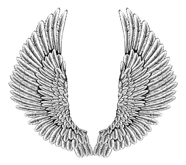 تصویری از باز شدن یک جفت بال فرشته یا عقاب