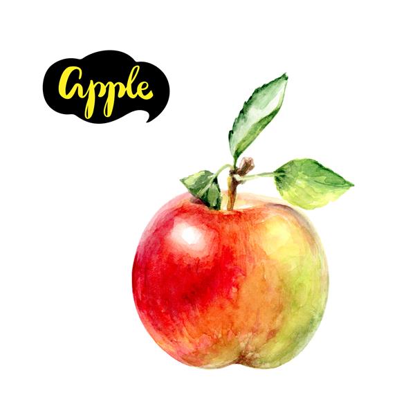 تصویر آبرنگ سیب سیب جدا شده در پس زمینه سفید