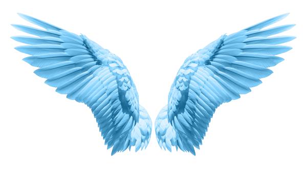 بال های فرشته پرهای بال آبی طبیعی با قسمت بریده
