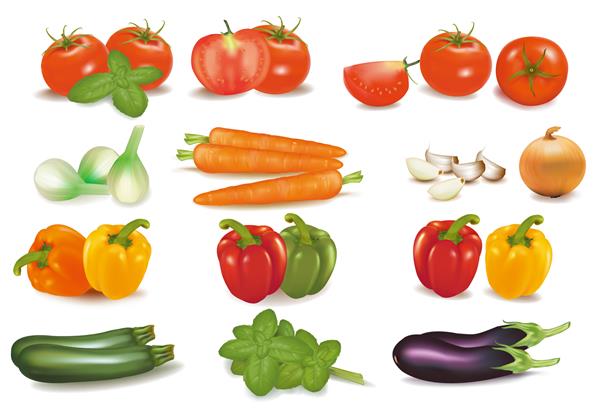 مجموعه بزرگ رنگارنگ سبزیجات نسخه شطرنجی وکتور