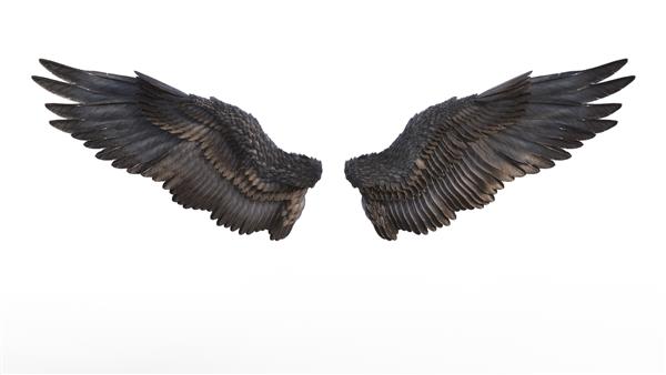 تصویر سه‌بعدی بال‌های شیطان پرهای بال سیاه جدا شده روی پس‌زمینه سفید