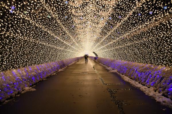 Nabana no Sato Winter Illumination