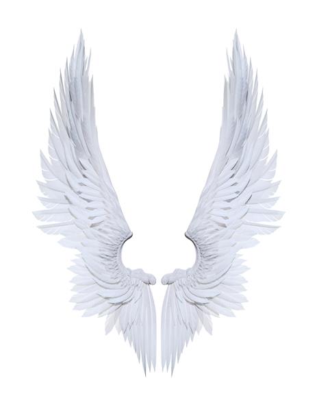 تصویر سه بعدی بال های فرشته پرهای بال سفید جدا شده روی پس زمینه سفید با مسیر برش