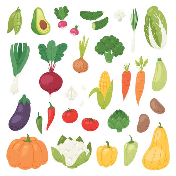 وکتور سبزیجات تغذیه سالم از فلفل و هویج گوجه فرنگی گیاهی برای گیاهخوارانی که غذای ارگانیک می خورند از تصویر خواربارفروشی رژیم غذایی مجموعه گیاهی جدا شده در پس زمینه سفید