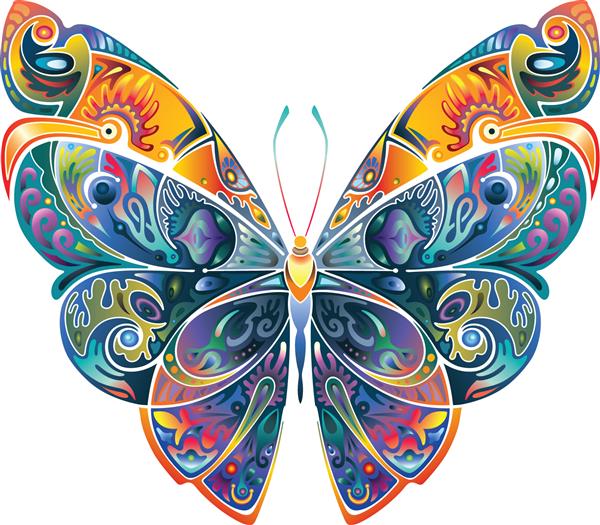 عنصر طراحی پروانه با الگو روشن رنگارنگ