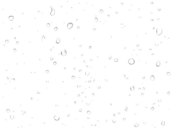 وکتور قطرات آب باران در پس زمینه سفید قطرات واقعی واقعی متراکم شدند
