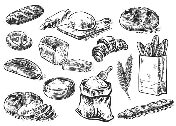 نان وکتور تصویر مجموعه دست کشیده به سبک گرافیکی انواع دیگر گندم آرد نان تازه وکتور تصویر حکاکی قدیمی برای پوستر برچسب و منو مغازه نانوایی