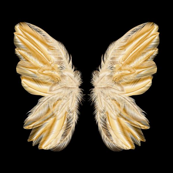 بال پروانه با پر هنر انتزاعی مدرن پر طلایی وکتور