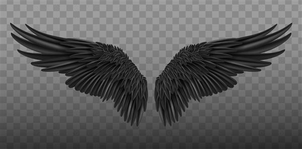 بال های سیاه واقعی یک جفت بال سفید جدا شده به سبک فرشته با پرهای سه بعدی روی پس‌زمینه شفاف
