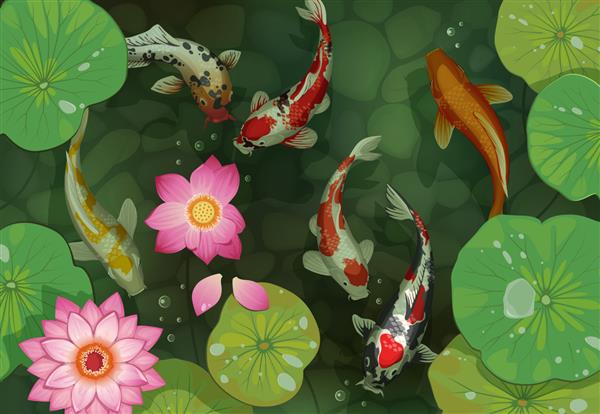 پس زمینه کپور طلایی برکه سنتی با ماهی کوی و برگ های نیلوفر آبی گل های نیلوفر آبی و ماهی قرمز شنا گیاهان و جانوران آبزی وکتور تصویر ژاپنی و چینی