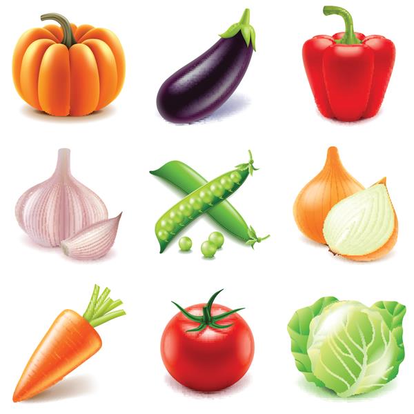 مجموعه وکتور عکس واقعی نمادهای سبزیجات