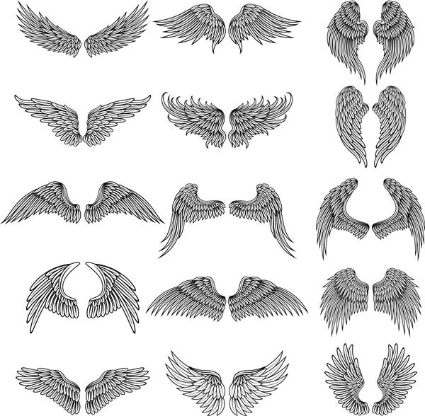 تصاویر طراحی خالکوبی از بال های سبک متفاوت تصاویر وکتور برای طراحی لوگو ست دودل بال فرشته