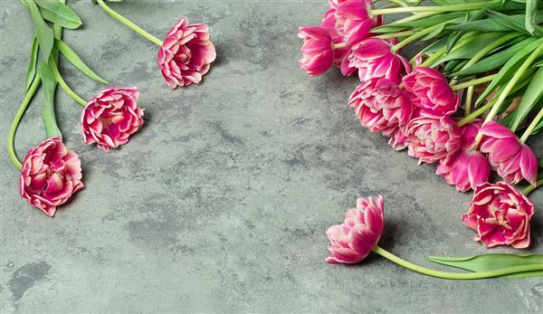کارت با گل های صورتی لاله در پس زمینه