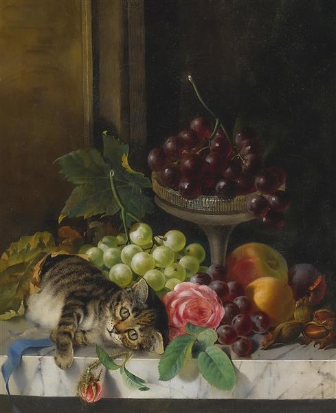 گربه و میوه ها اثر هنری