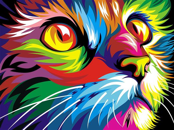 گربه رنگارنگ از نمای نزدیک