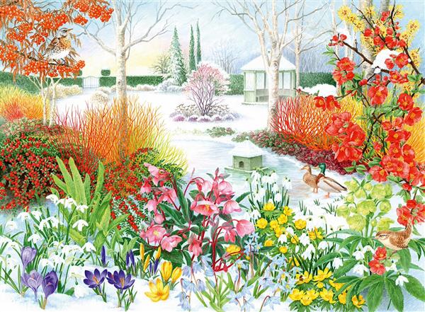 طبیعت زمستانی و گل های رنگارنگ